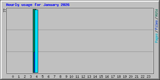Hourly usage for January 2026
